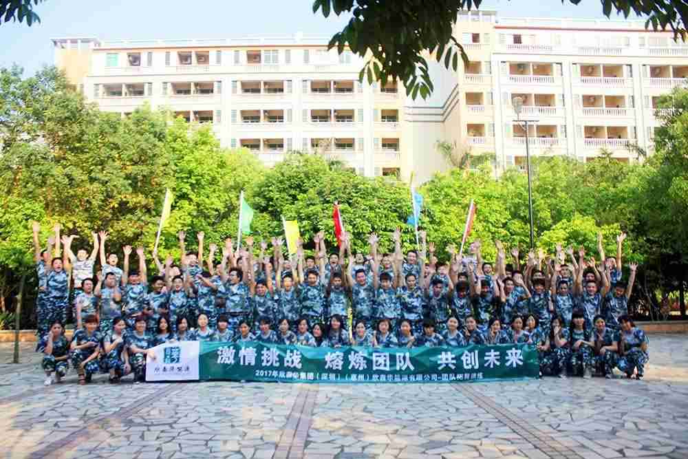 2017年欣森華集團（深圳）（惠州）新森華能源有限公司