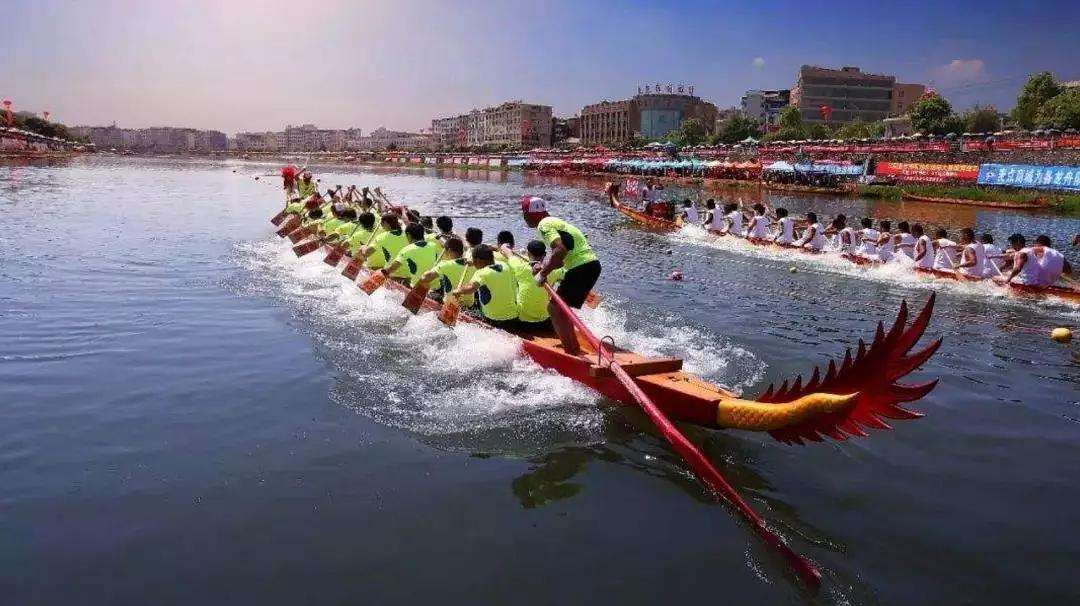 timg (4).jpg timg (4).jpg