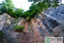 smt_yw020.png smt_yw020.png