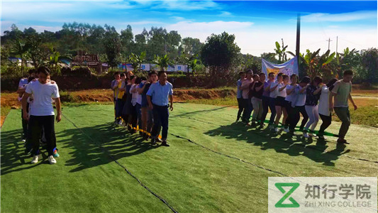 媧誨姩 (6)_鍓湰.jpg 媧誨姩 (6)_鍓湰.jpg