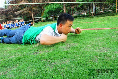 smt_tz271.jpg smt_tz271.jpg