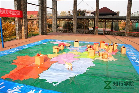 smt_tz431.jpg smt_tz431.jpg