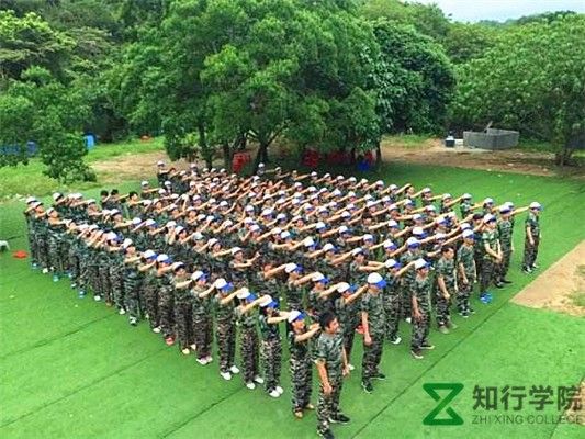 timg_副本.jpg timg_副本.jpg