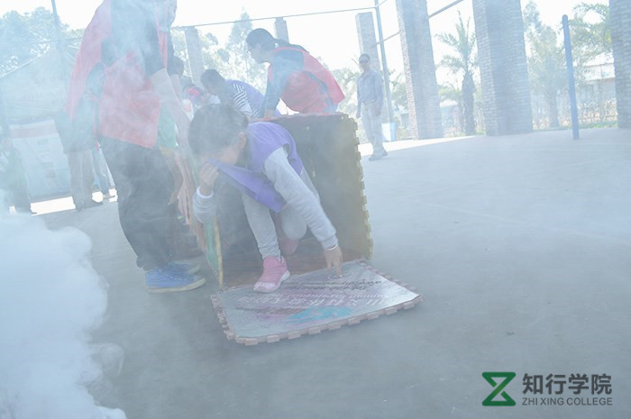 smt_qz015.jpg smt_qz015.jpg