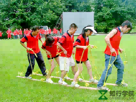 圖片19_副本_副本.png 圖片19_副本_副本.png