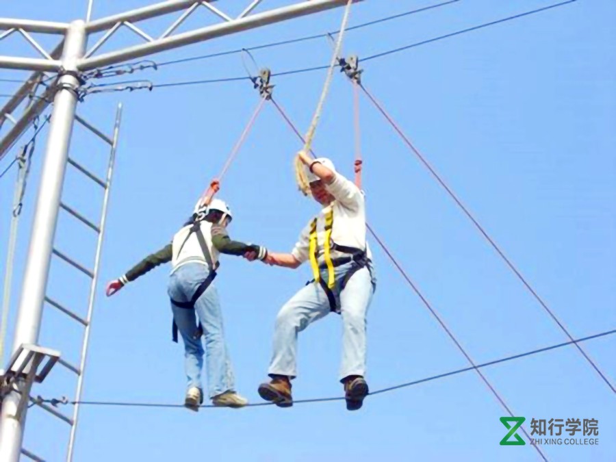 天使之手.jpg 天使之手.jpg