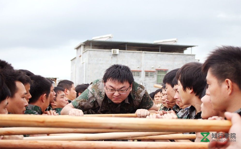 生命云梯1.jpg 生命云梯1.jpg