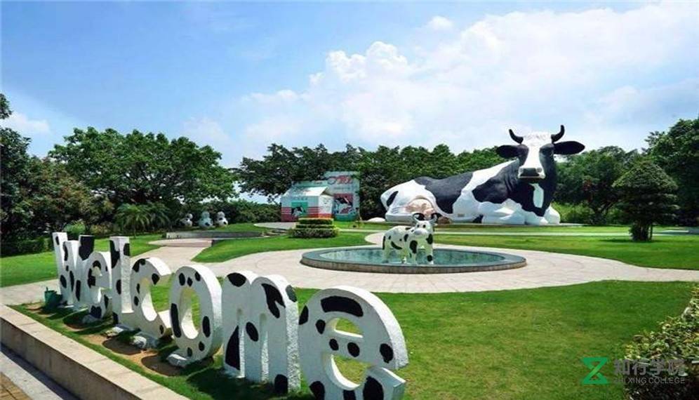 光明.jpg 光明.jpg