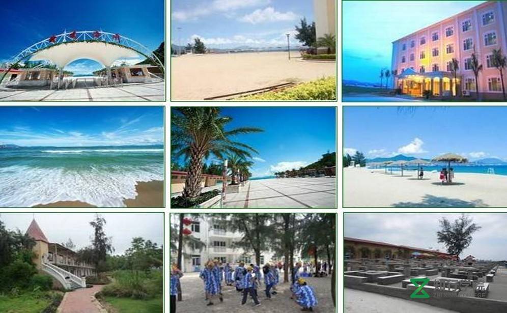 玫瑰海岸.jpg 玫瑰海岸.jpg