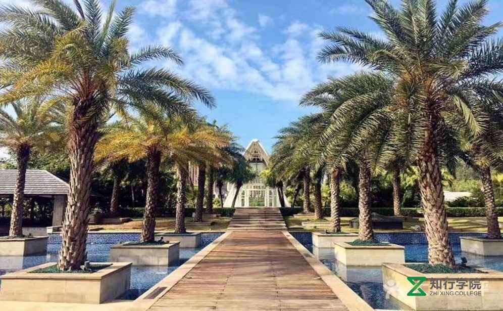 惠州團建 雅居樂白鷺湖 拓展訓(xùn)練.jpg