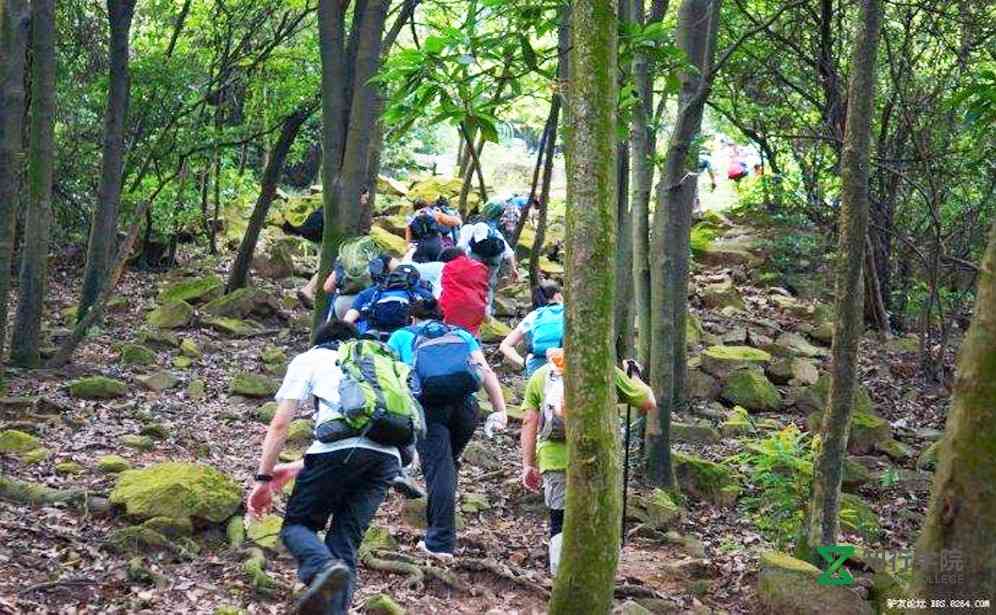 火鳳線.jpg 火鳳線.jpg