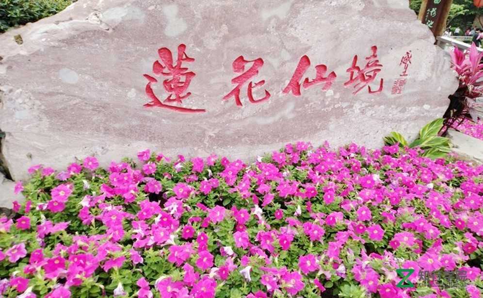 蓮花仙境.jpg 蓮花仙境.jpg