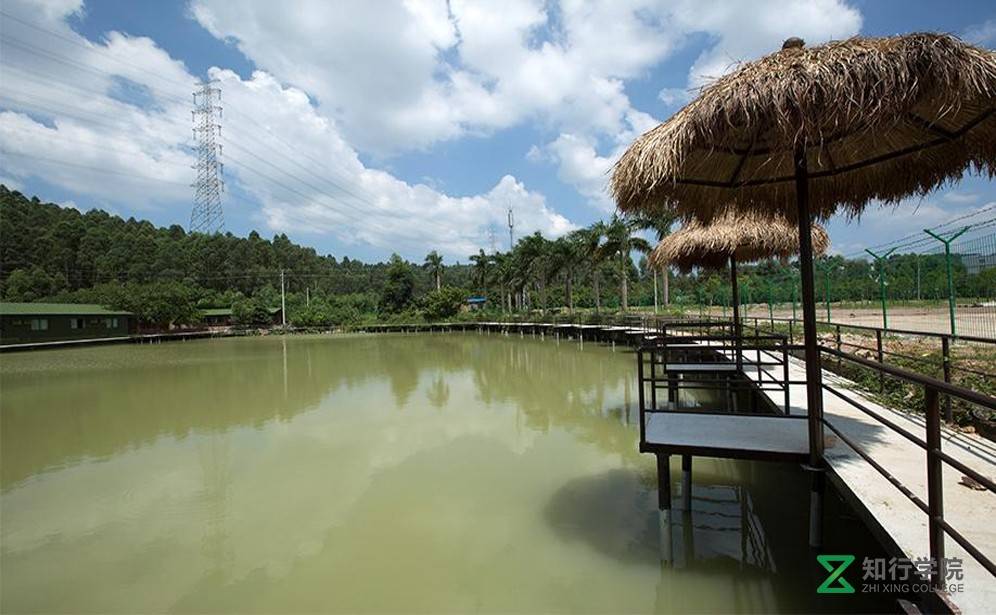 花都比奇軍事拓展訓(xùn)練基地.jpg 花都比奇軍事拓展訓(xùn)練基地.jpg