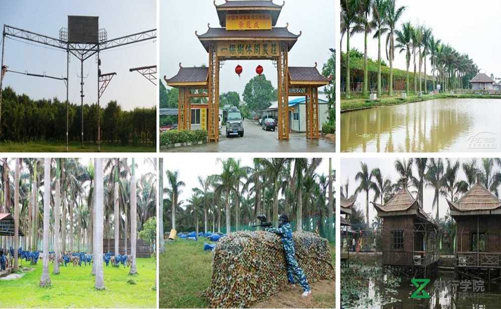 珠海一棵樹拓展.jpg 珠海一棵樹拓展.jpg