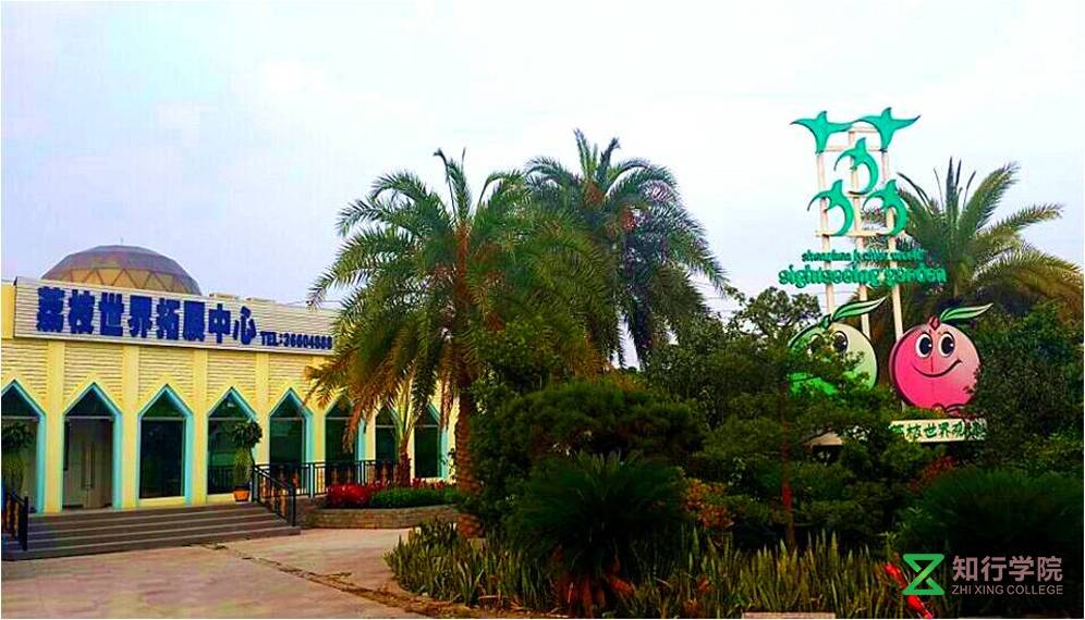 南山西麗荔枝世界拓展訓(xùn)練基地