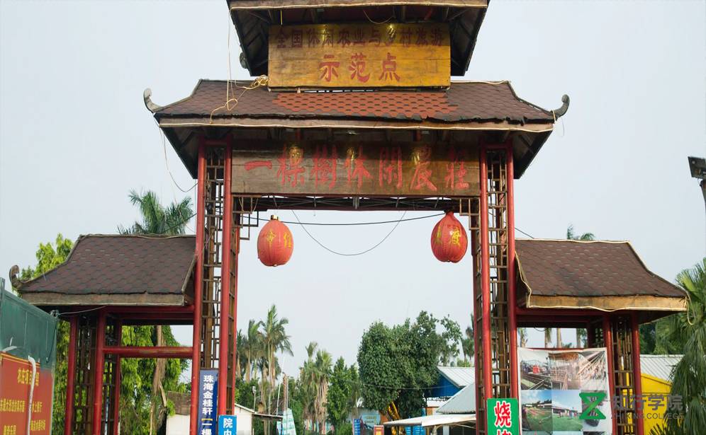 珠海一棵樹拓展基地