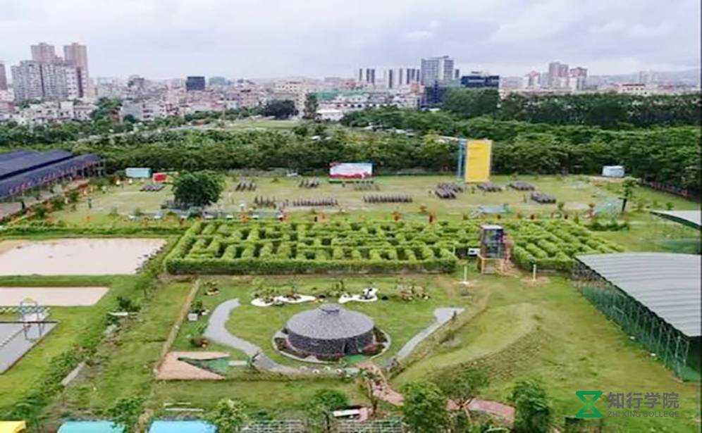 東莞東坑智慧田拓展訓(xùn)練基地