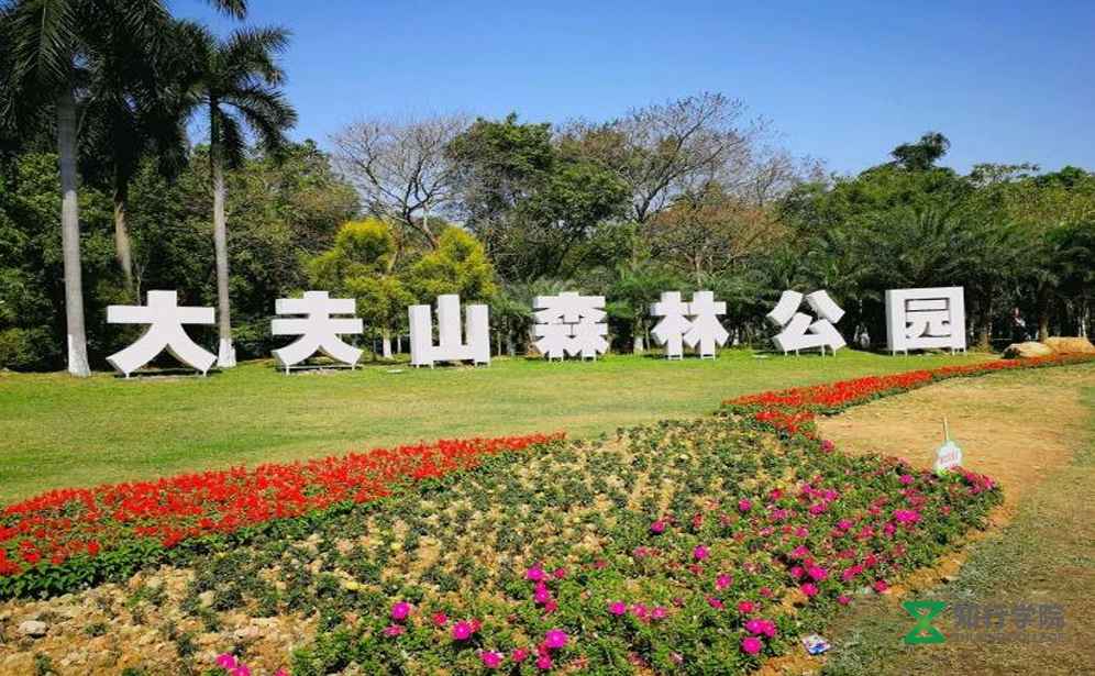 番禺大夫山森林公園拓展訓(xùn)練基地