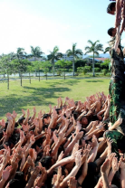 深圳拓展公司、惠州戶外拓展、團(tuán)建公司，拓展訓(xùn)練、戶外團(tuán)建、素質(zhì)拓展、 (12).png