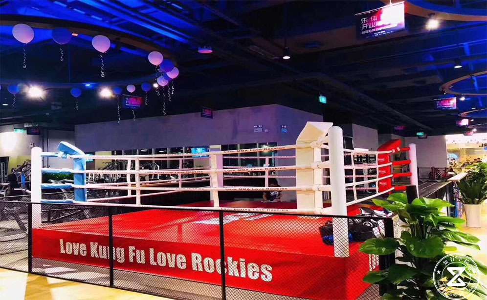 拳王爭霸、拳擊團建、運動團建、專業(yè)企業(yè)團建公司 (3).jpg