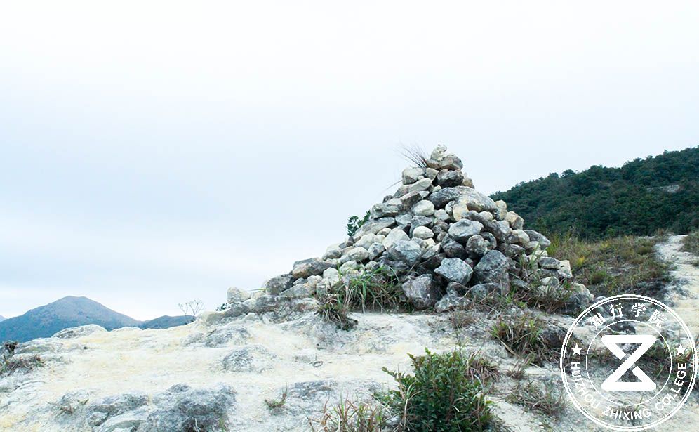 IMG_0139.jpg IMG_0139.jpg