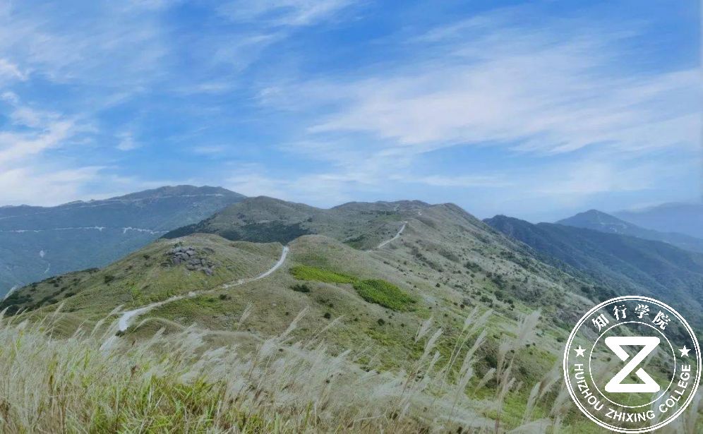 南山團(tuán)建.jpg 南山團(tuán)建.jpg