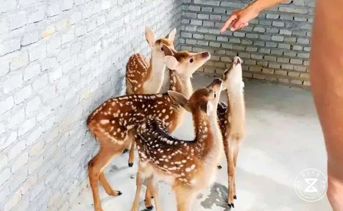 惠州博羅歐野奇鏡拓展訓(xùn)練基地7.jpg 惠州博羅歐野奇鏡拓展訓(xùn)練基地7.jpg