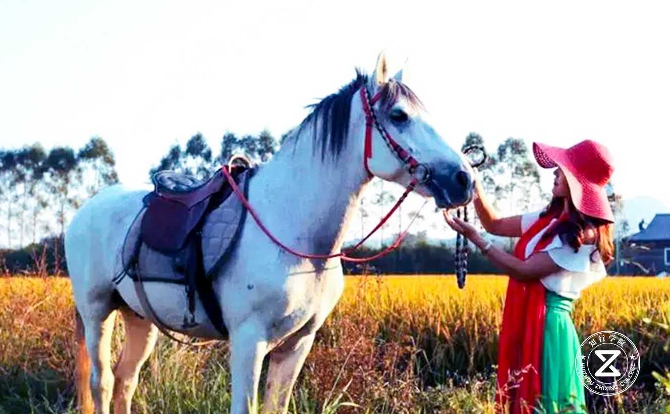 惠州博羅古石龍拓展培訓基地6.jpg 惠州博羅古石龍拓展培訓基地6.jpg