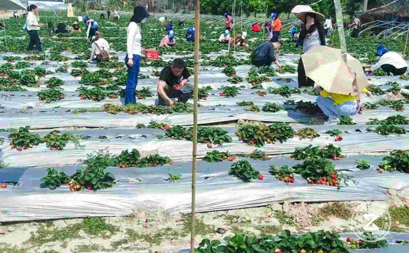 佛山眾福達農(nóng)業(yè)生態(tài)園拓展訓練基地2.jpg 佛山眾福達農(nóng)業(yè)生態(tài)園拓展訓練基地2.jpg