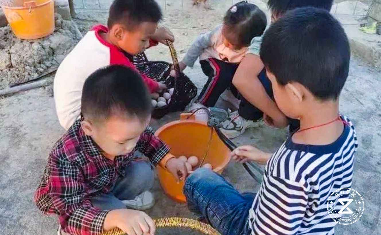 佛山眾福達農(nóng)業(yè)生態(tài)園拓展訓練基地8.jpg 佛山眾福達農(nóng)業(yè)生態(tài)園拓展訓練基地8.jpg