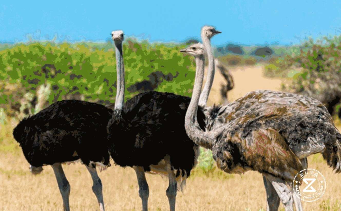 佛山夢里水鄉(xiāng)百花園拓展訓練基地14.jpg 佛山夢里水鄉(xiāng)百花園拓展訓練基地14.jpg