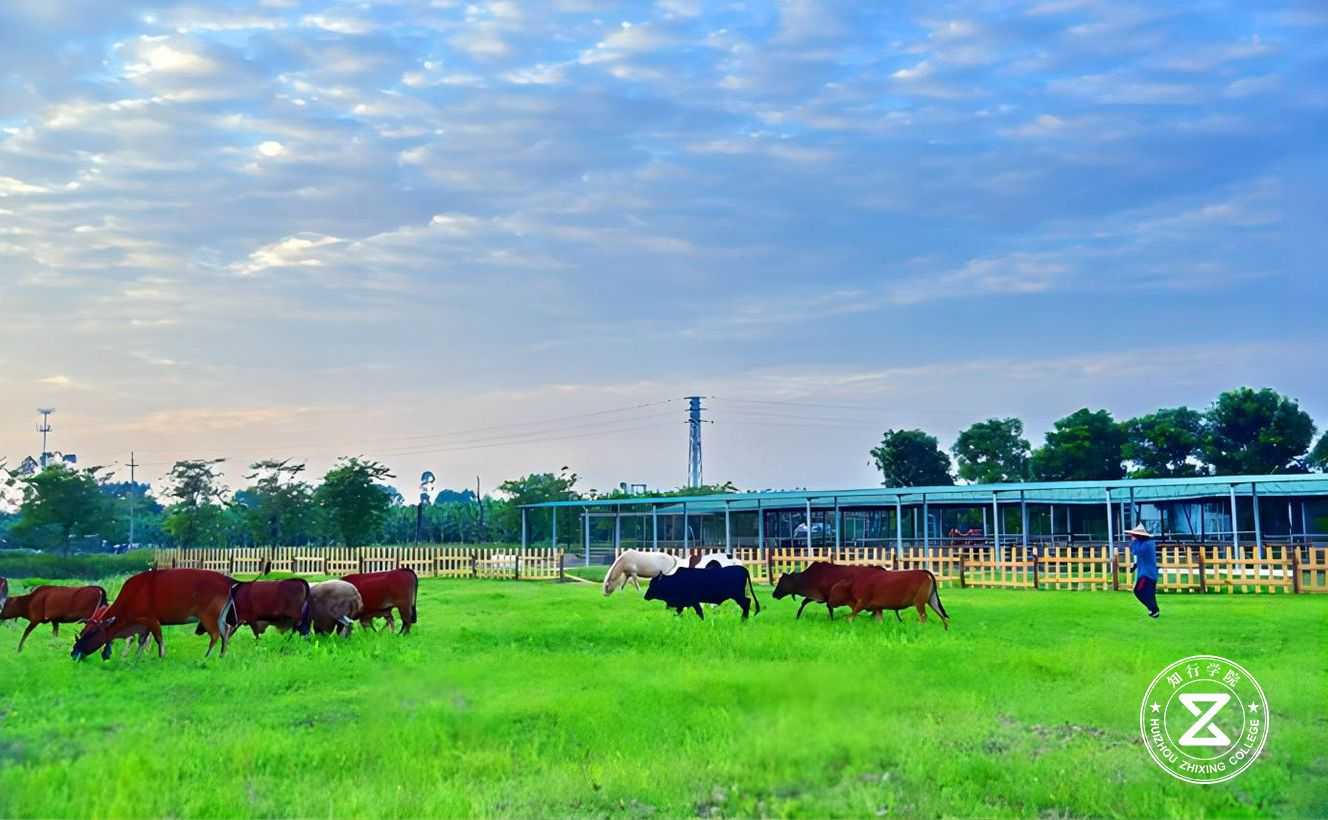 廣州增城幸福田園營(yíng)地