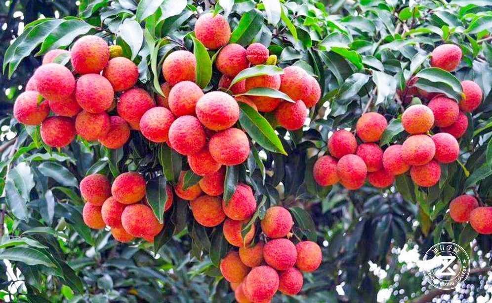 韶關(guān)鴻潤生態(tài)園拓展基地.jpg 韶關(guān)鴻潤生態(tài)園拓展基地.jpg