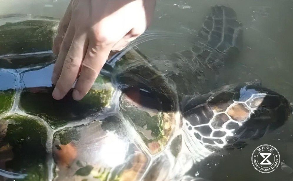 韶關(guān)鴻潤生態(tài)園拓展基地14.jpg 韶關(guān)鴻潤生態(tài)園拓展基地14.jpg