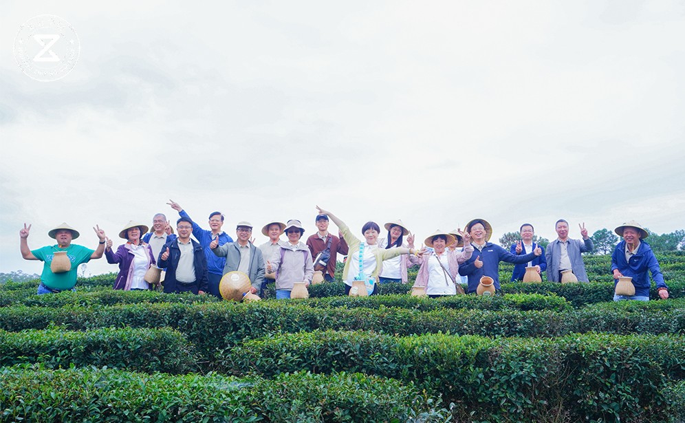 茶山凝心：柏塘茶園中的團(tuán)隊(duì)共鳴