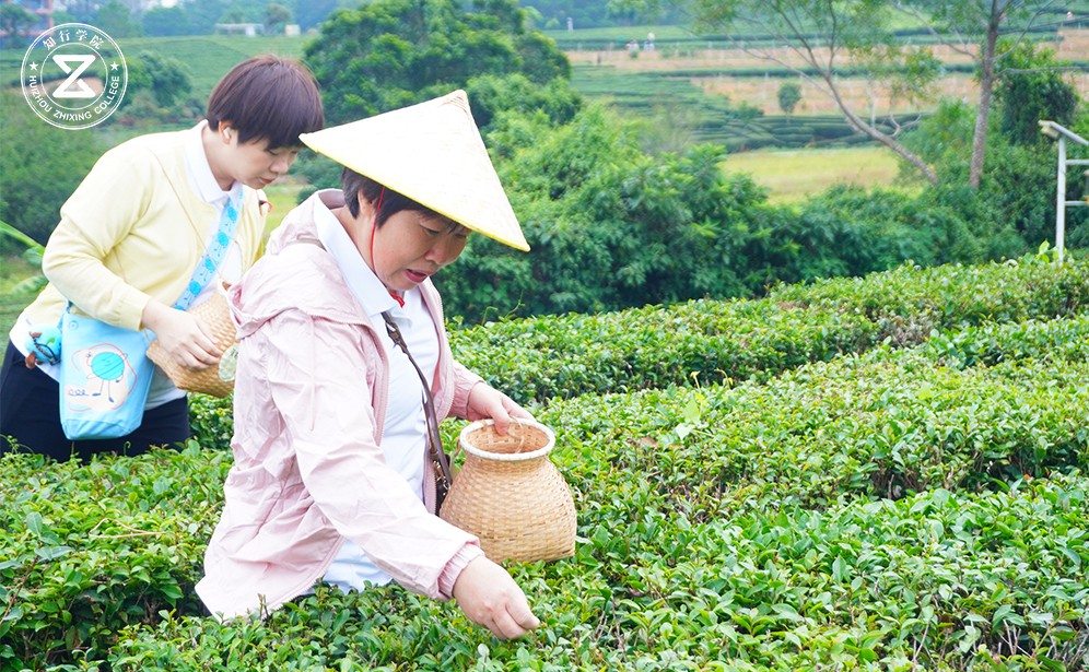 未標(biāo)題-2.jpg 未標(biāo)題-2.jpg